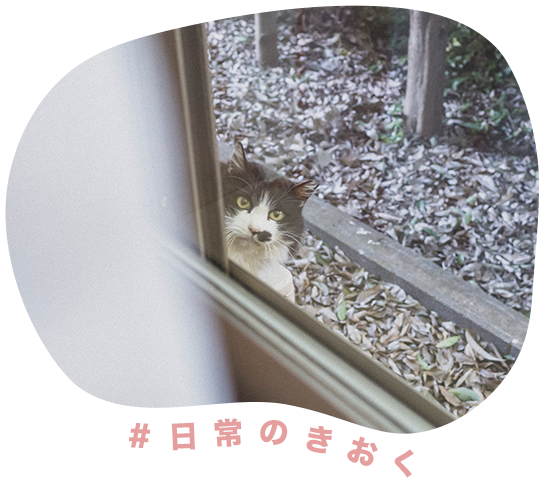 日常のきおく