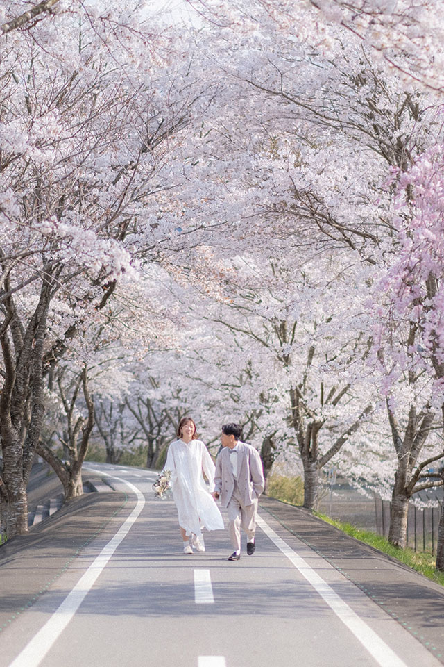 福島の花木団地の桜で撮った写真2