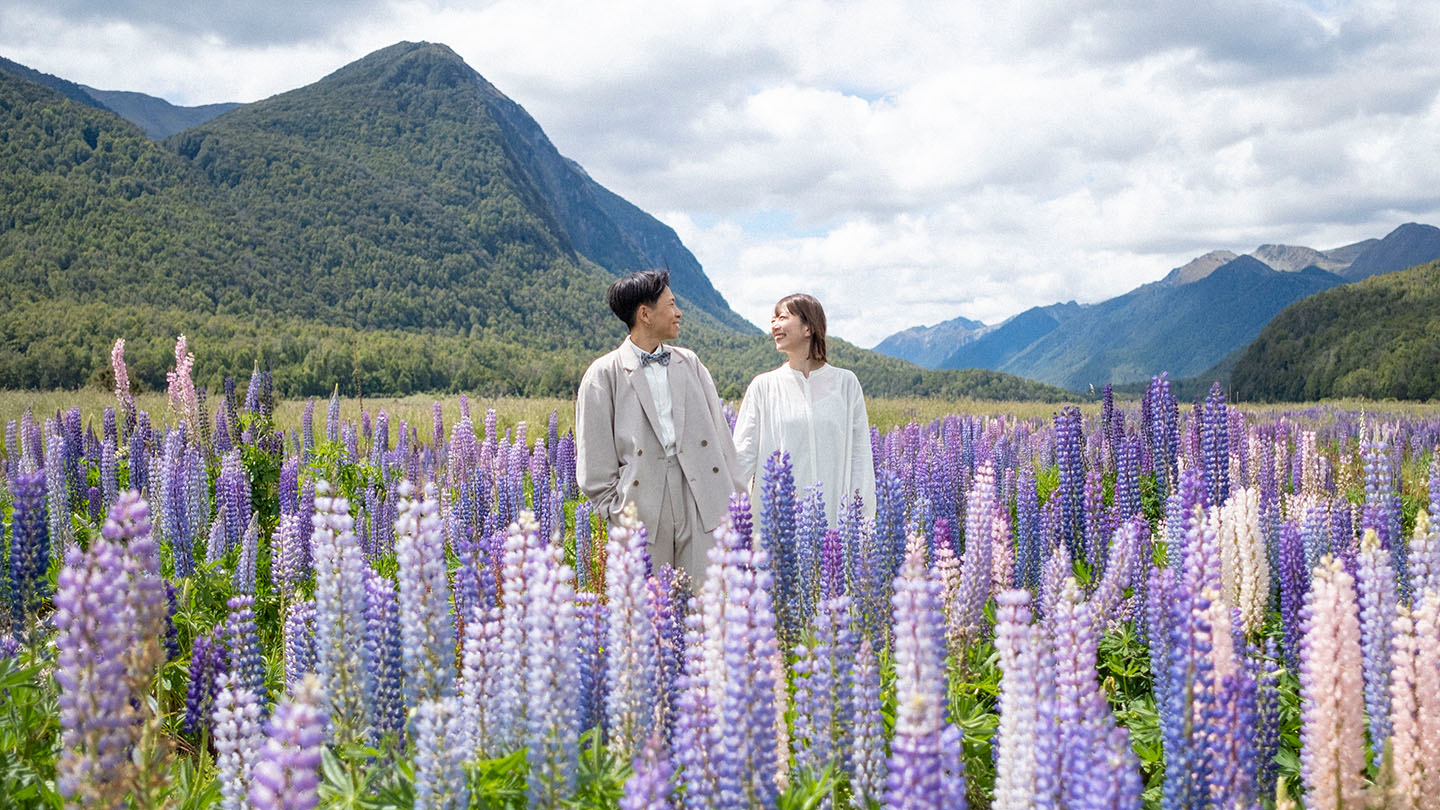 ニュージーランドでルピナス畑を発見したきおく