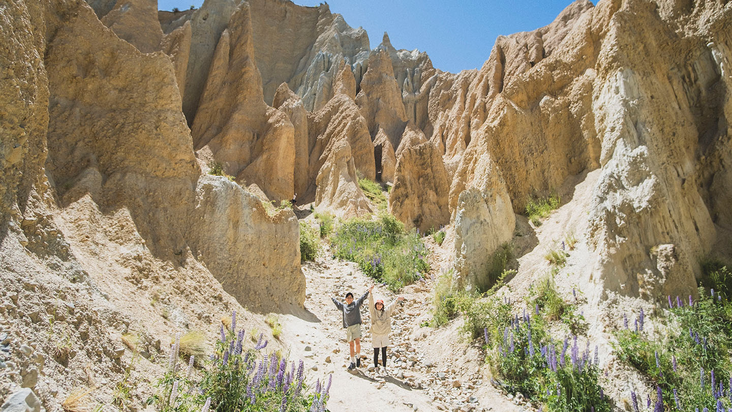 ニュージーランドのClayCliffsに行ったきおく