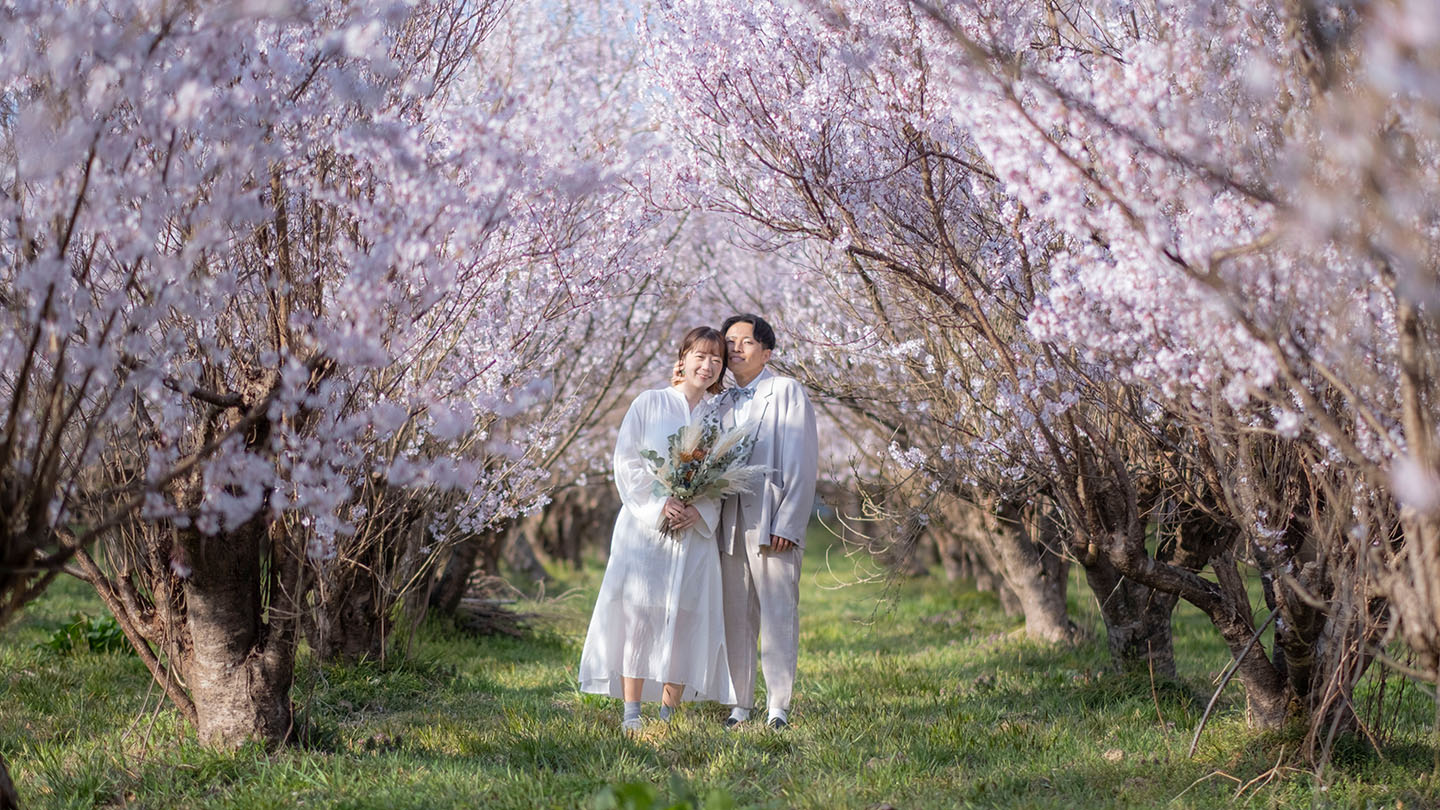 福島の花木団地で撮ったきおく