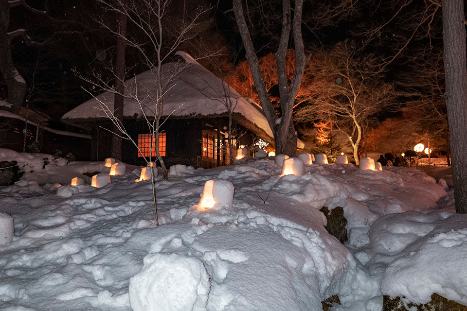 7 - ライトアップされていて綺麗でした