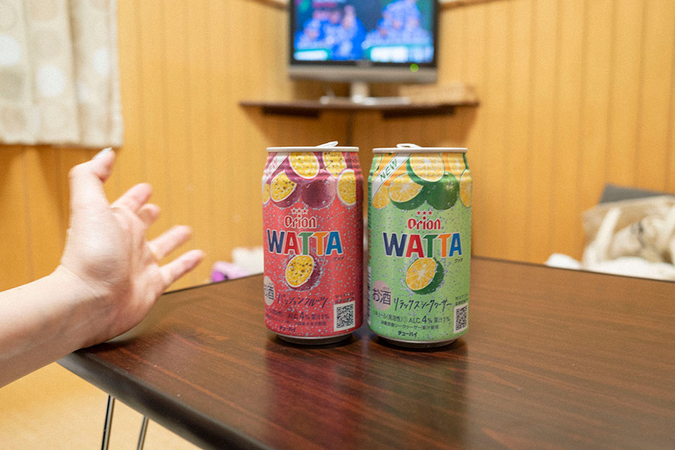 19 - 本日の宿「民宿とみ乃」にて晩酌