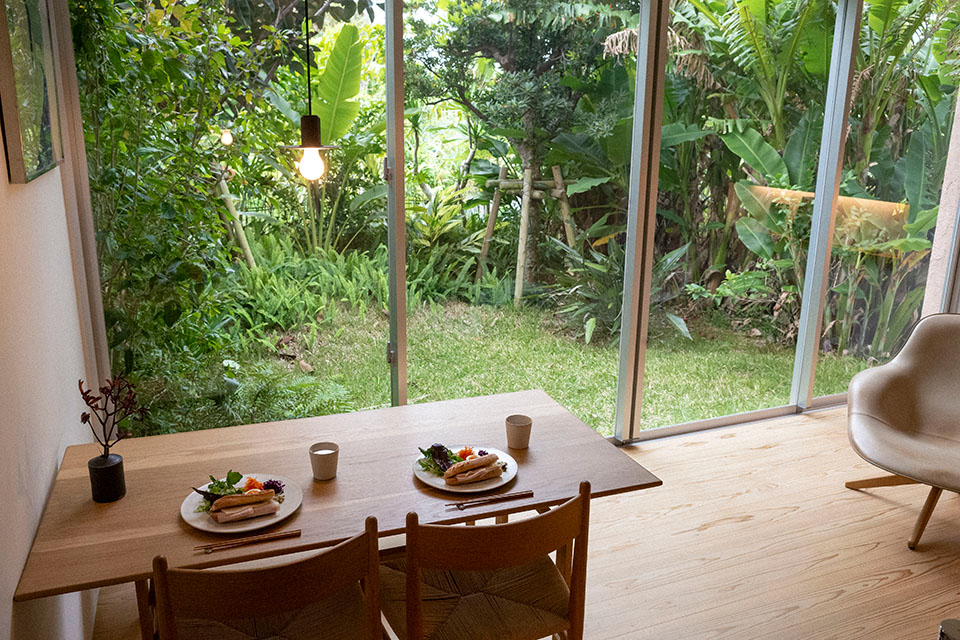 36 - 最終日の朝。緑が綺麗で最高に癒しの空間でした